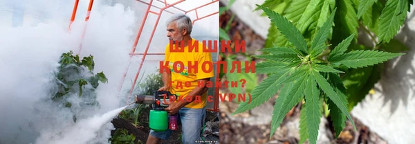 хмурый Пестово