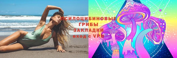 хмурый Пестово
