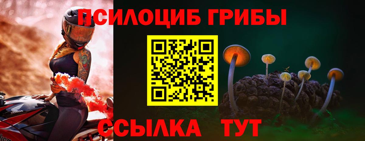 Галлюциногенные грибы Psilocybine cubensis Советск